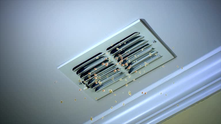 Best Duct Cleaning Specialists  in Milton Freewater, OR